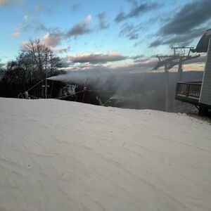 Meet your Posher, Alison